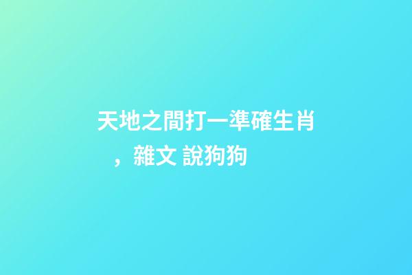 天地之間打一準確生肖，雜文 說狗狗